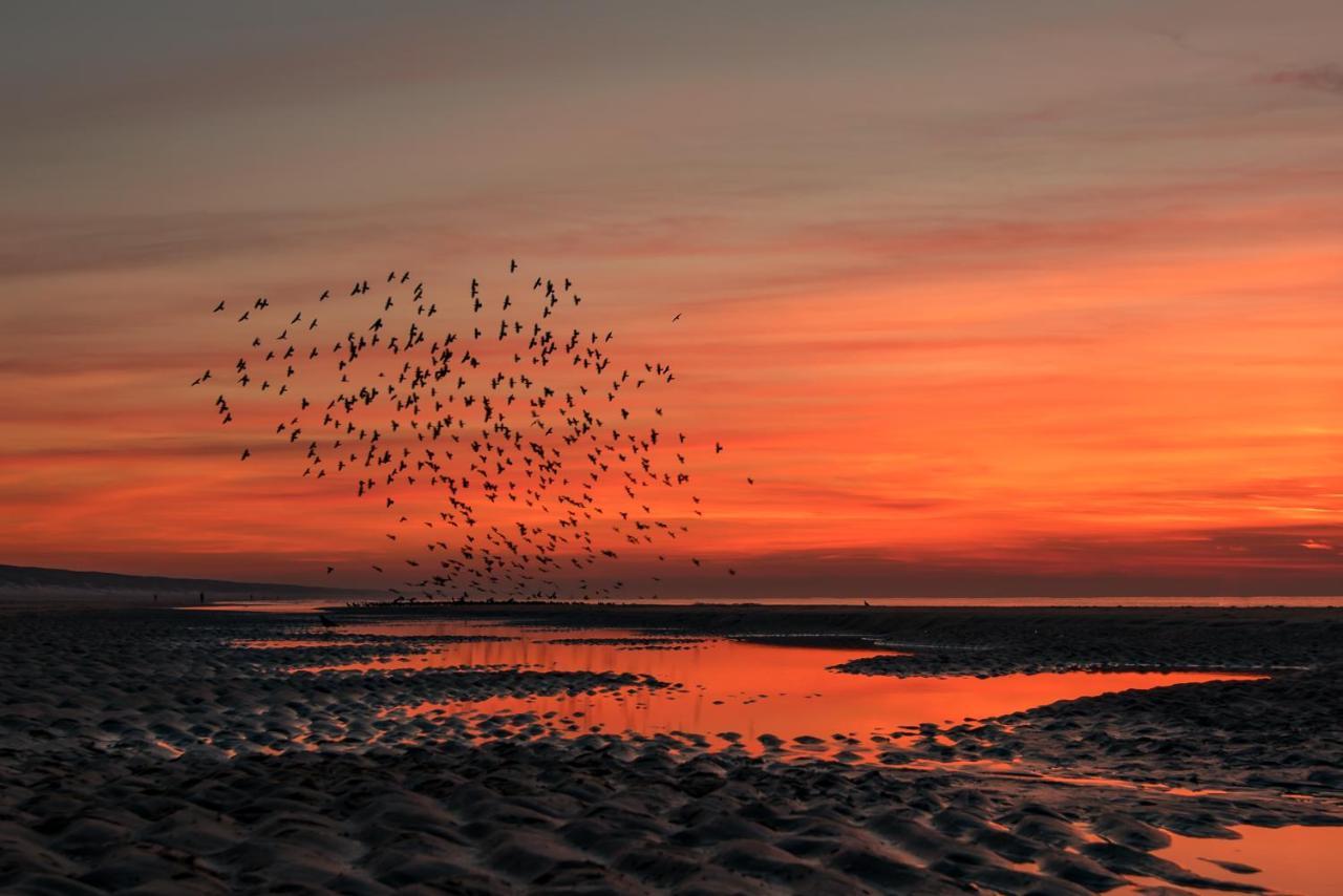 Hoekje Aan Zee Katwijk aan Zee Eksteriør billede