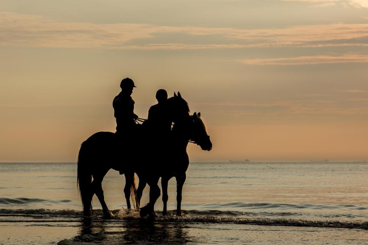 Hoekje Aan Zee Katwijk aan Zee Eksteriør billede